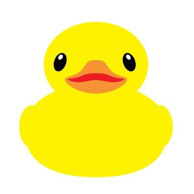 Understanding Your Bill | Rubber Ducky Labs